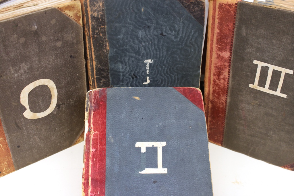 Collection Logo